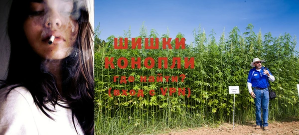 дурь Протвино
