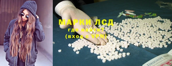 хмурый Бородино